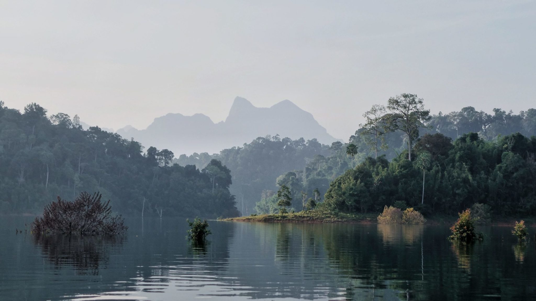 beauty of khao sok nationalpark