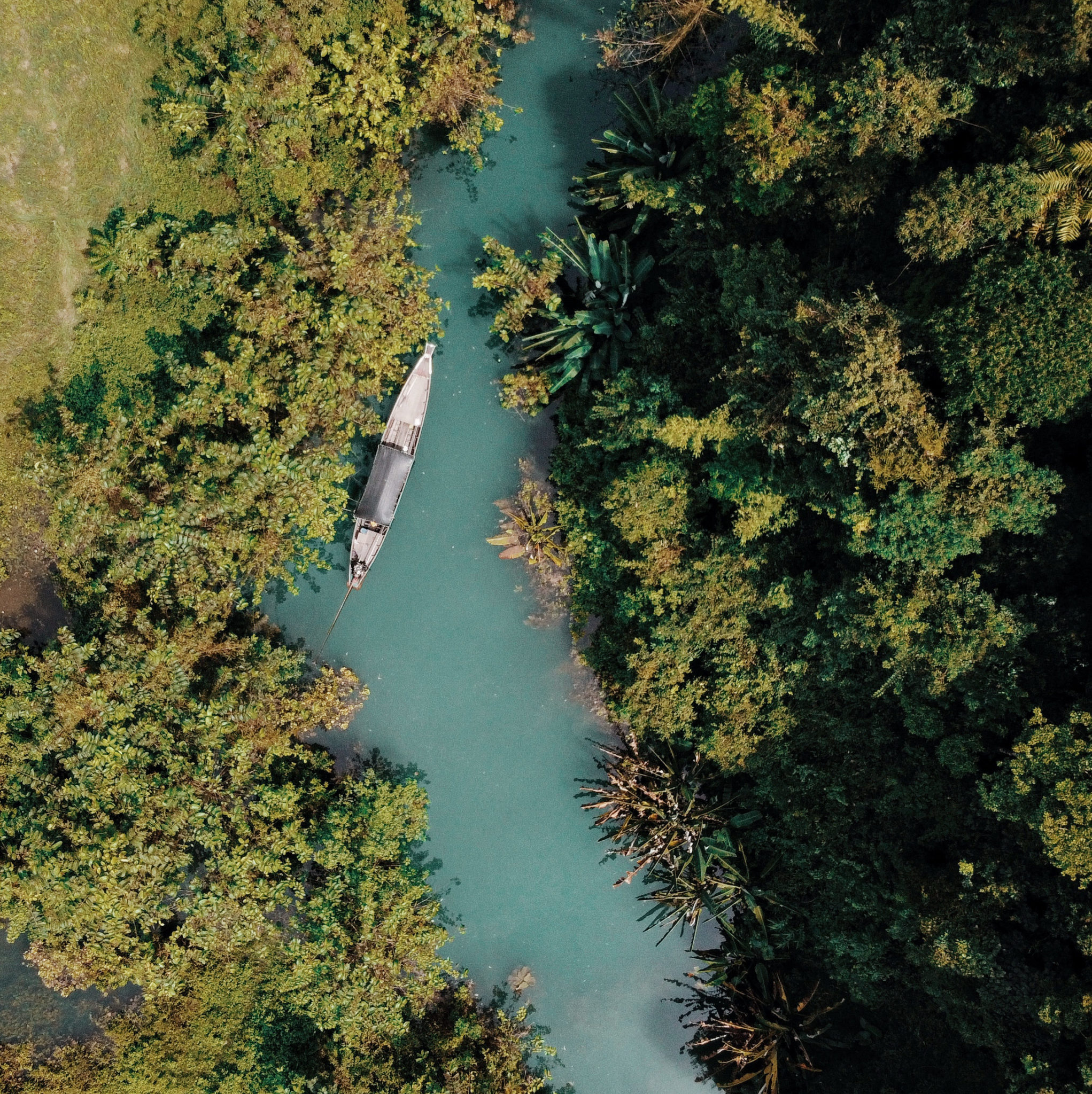 drone shot from jungle and river in khao sok nationalpark