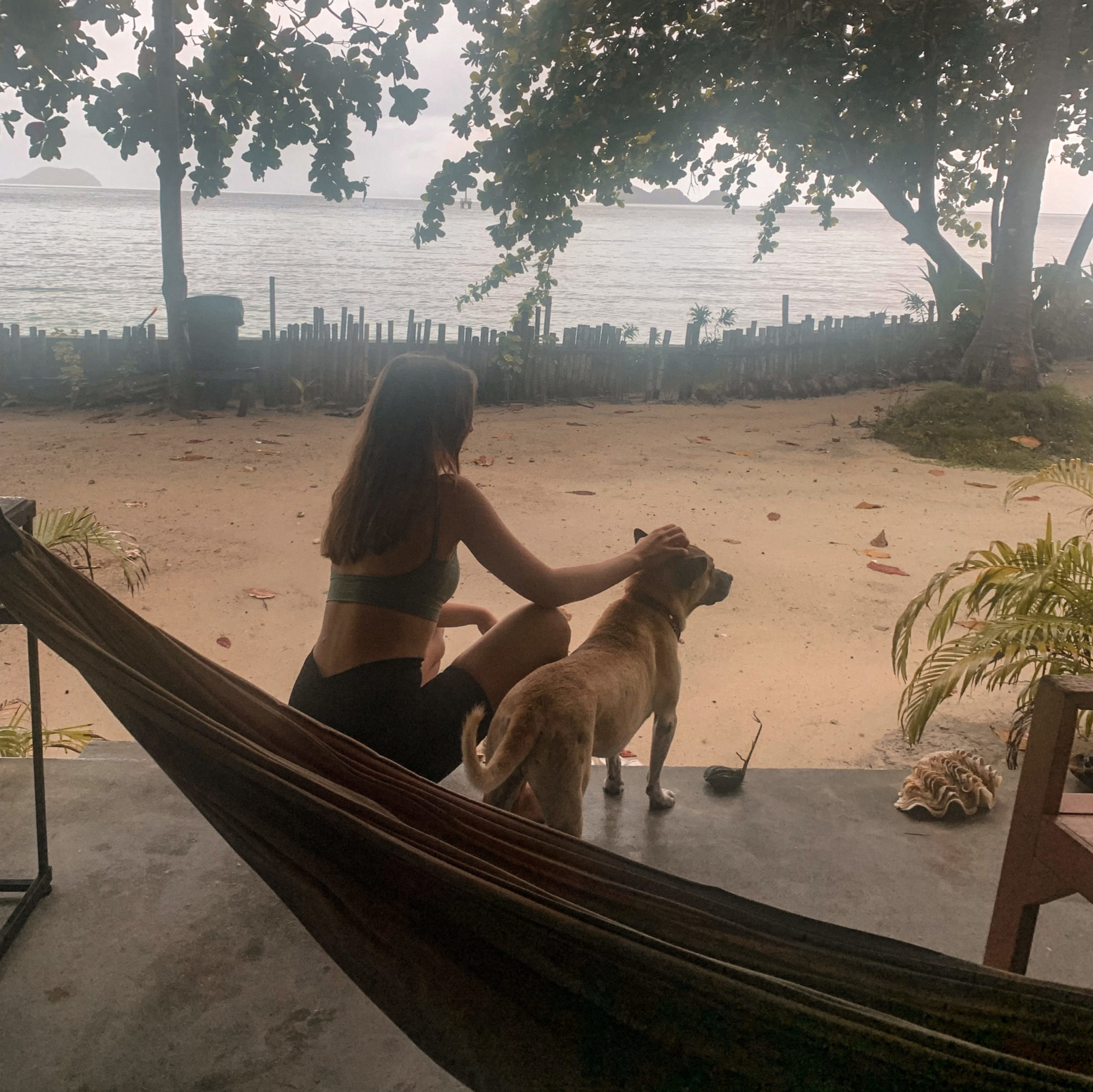 beach bungalow beachub koh phangan