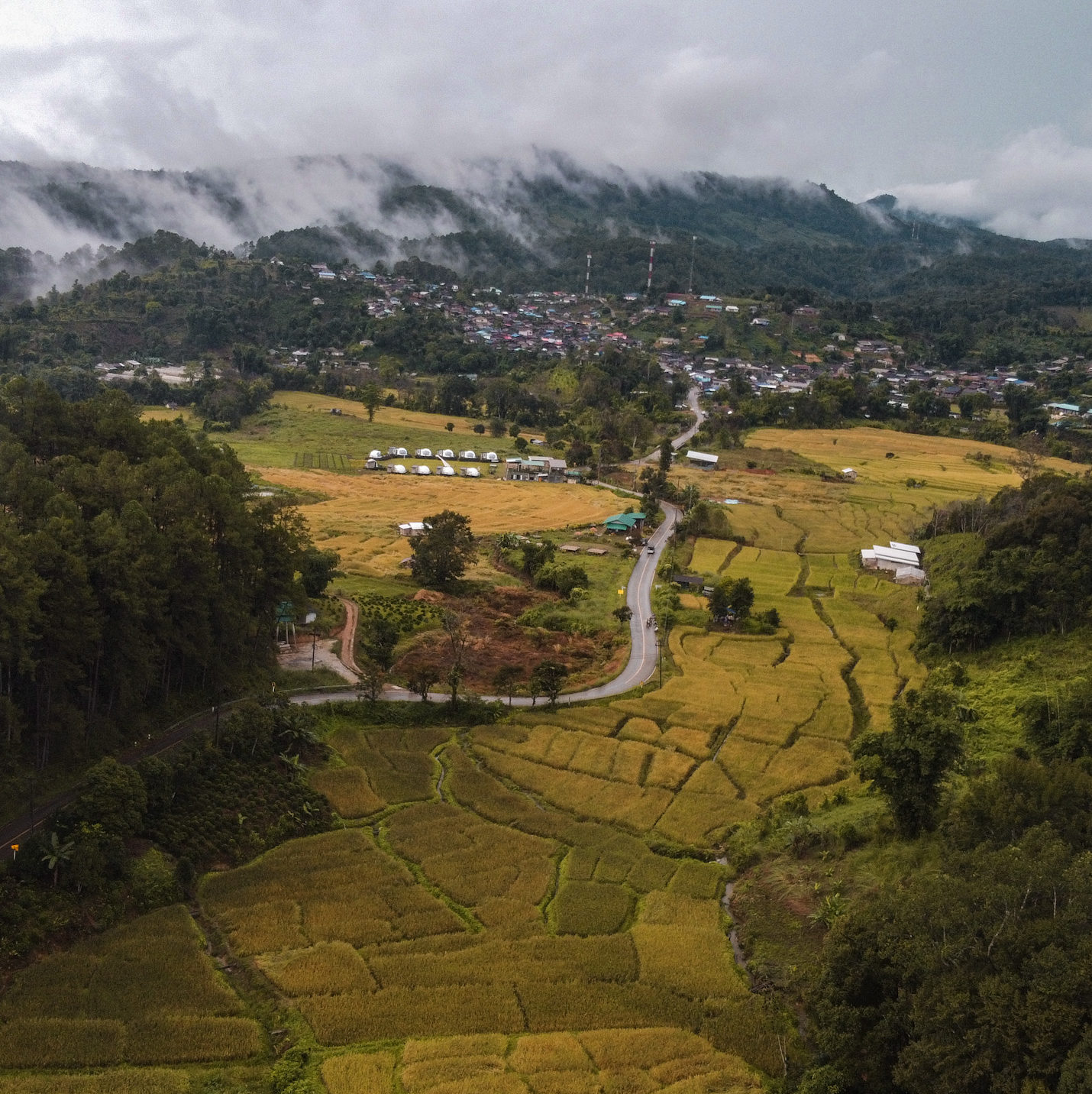 view over ricefields