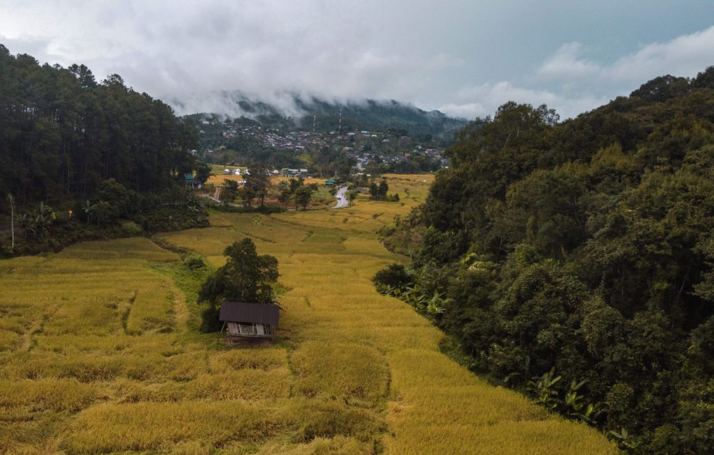 village and ricefields northern thailand