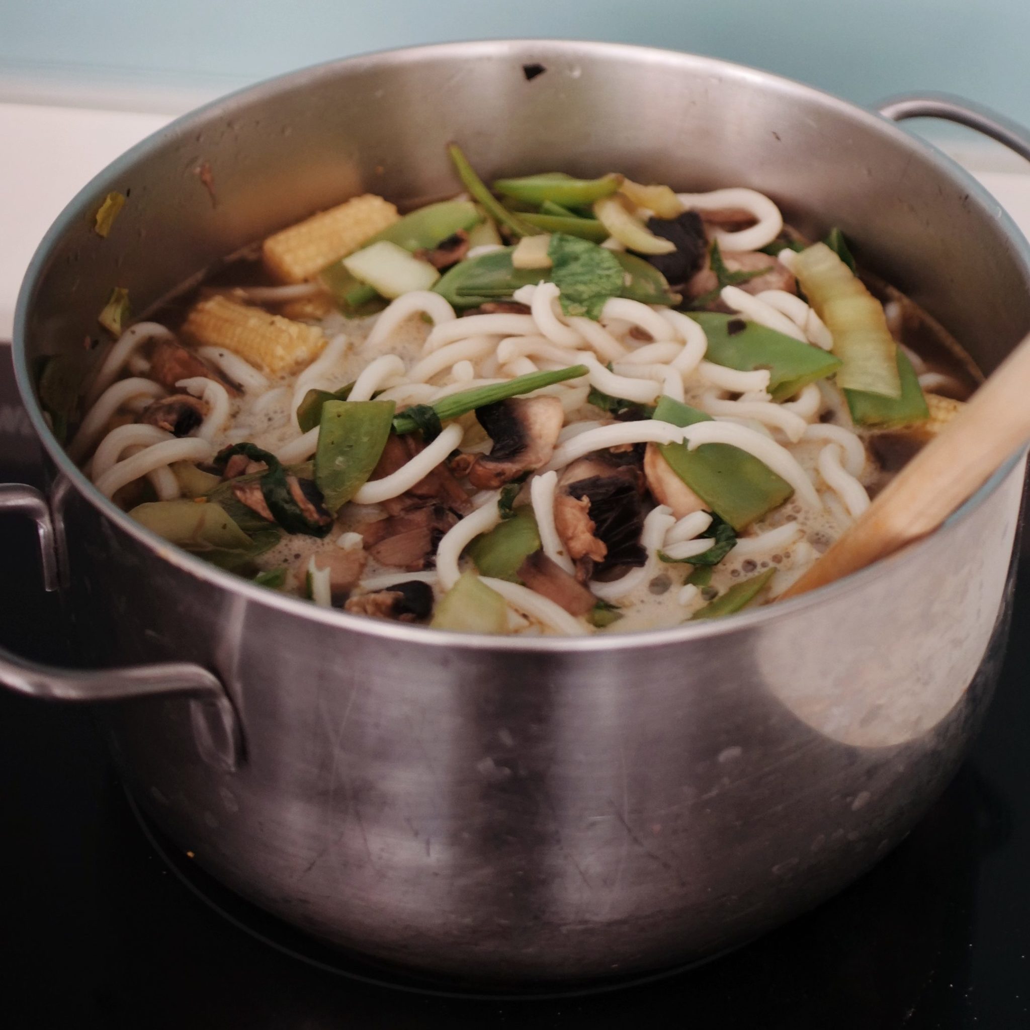 ready Udon noodle soup