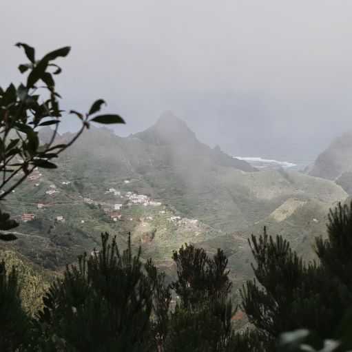 Ocean Views from Anaga forest